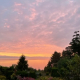 Beautiful sky over tree line