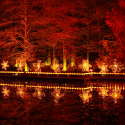 Free Christmas lights Vancouver